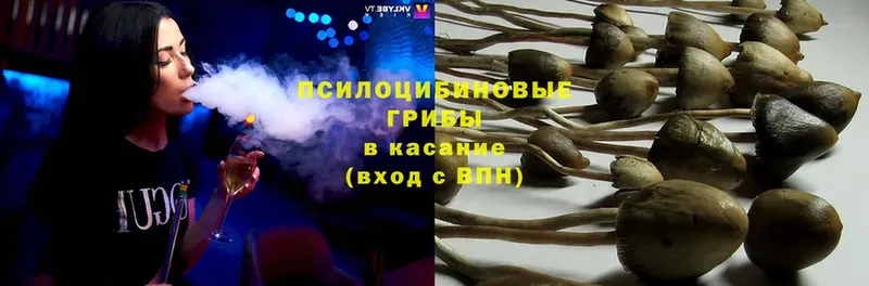 дарнет шоп  Муравленко  Галлюциногенные грибы Psilocybine cubensis 